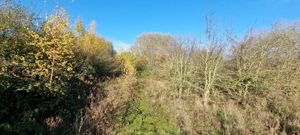 Photo 1- click for photo gallery